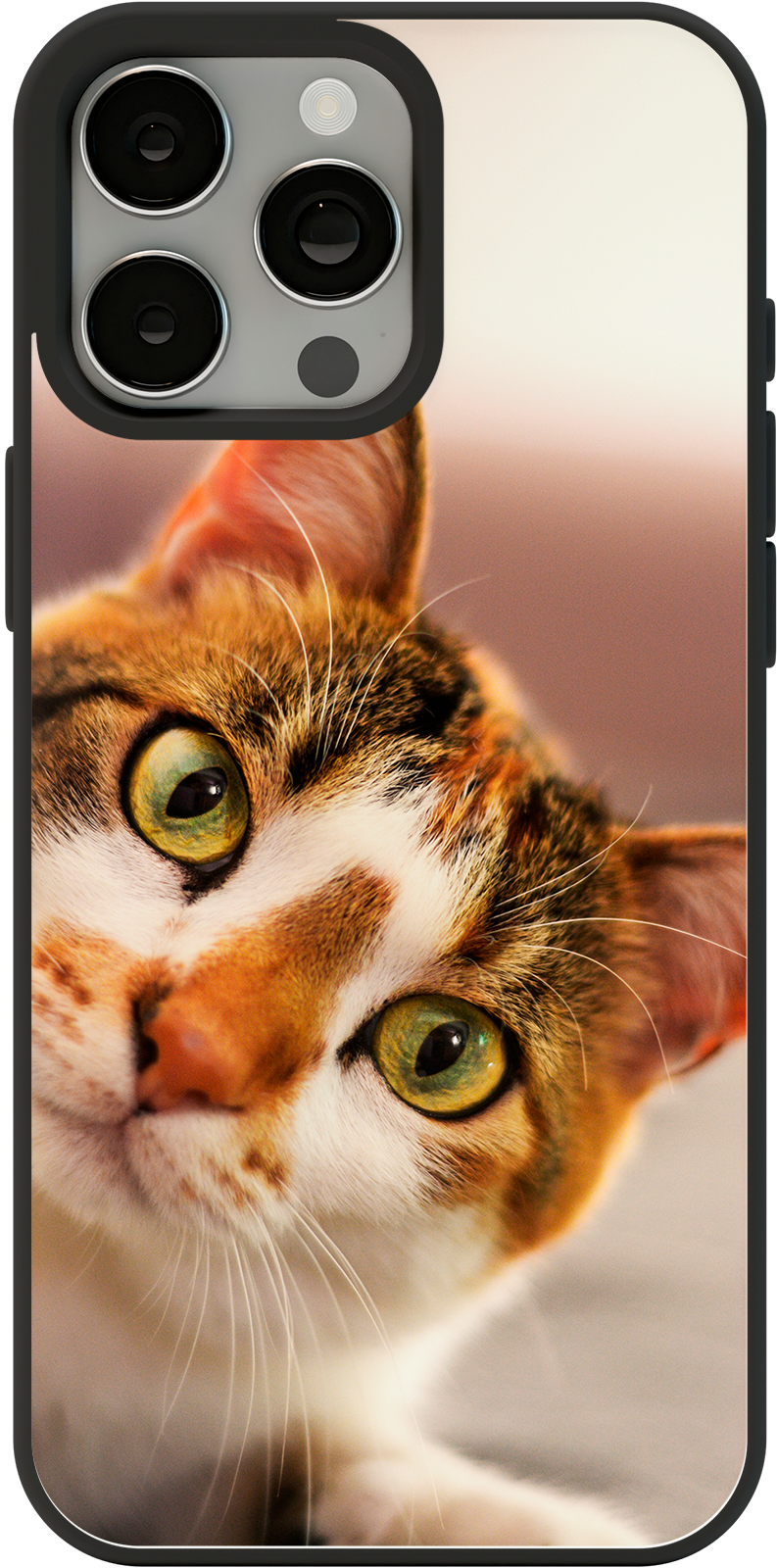 Coque de téléphone Chat